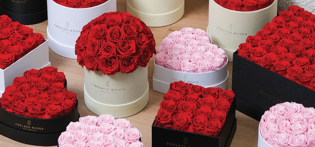 š¹ Discover the Beauty and Elegance of Everlasting Roses š¹