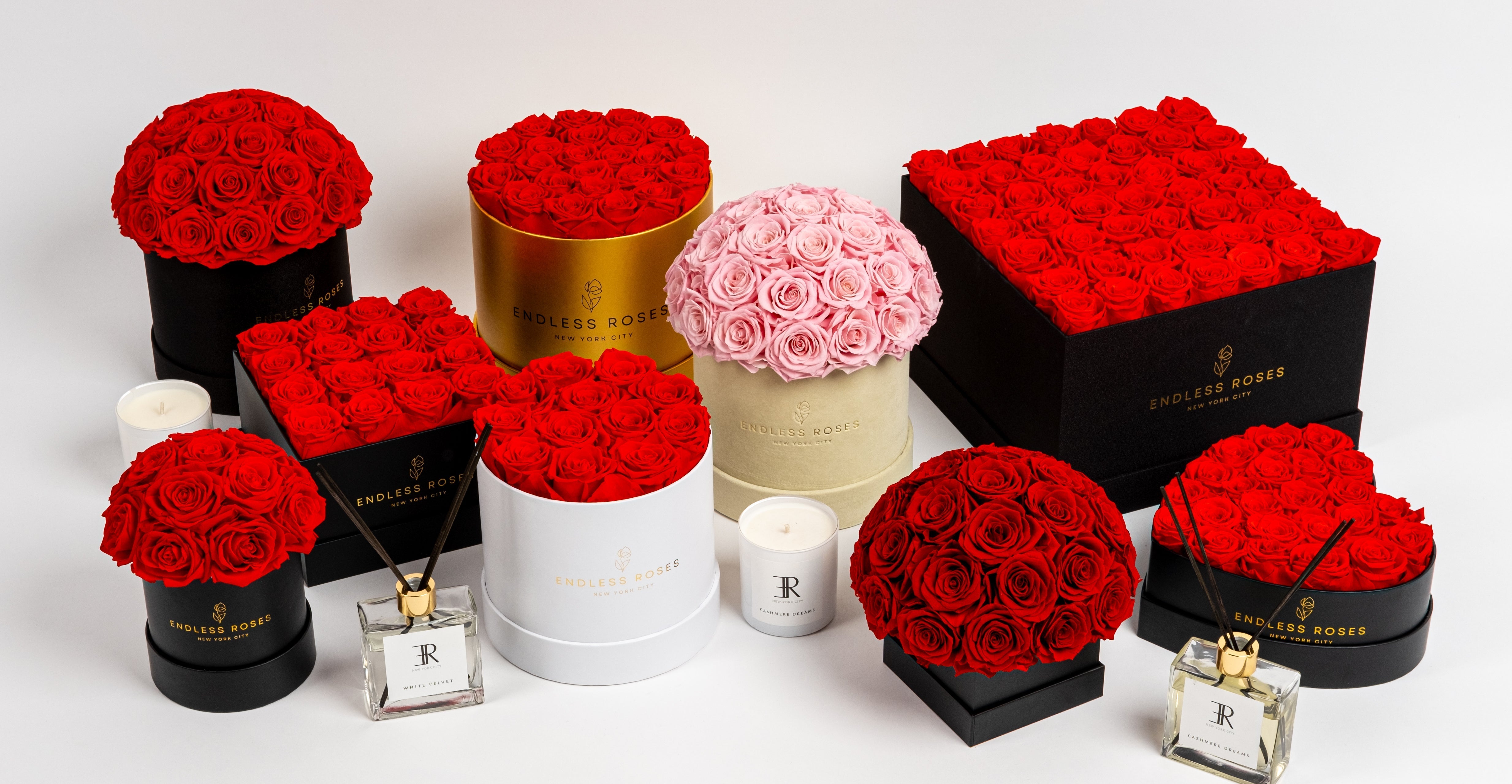 What Are Preserved Roses? Everything You Need to Know - Endless Roses