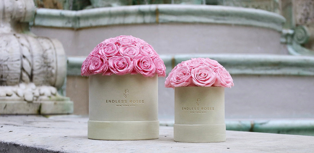 Preserved Roses: The Best Thank You Gift That Lasts