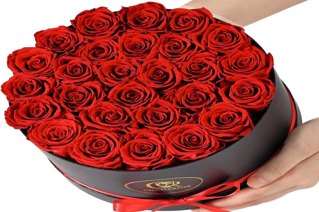 Beautiful Flowers