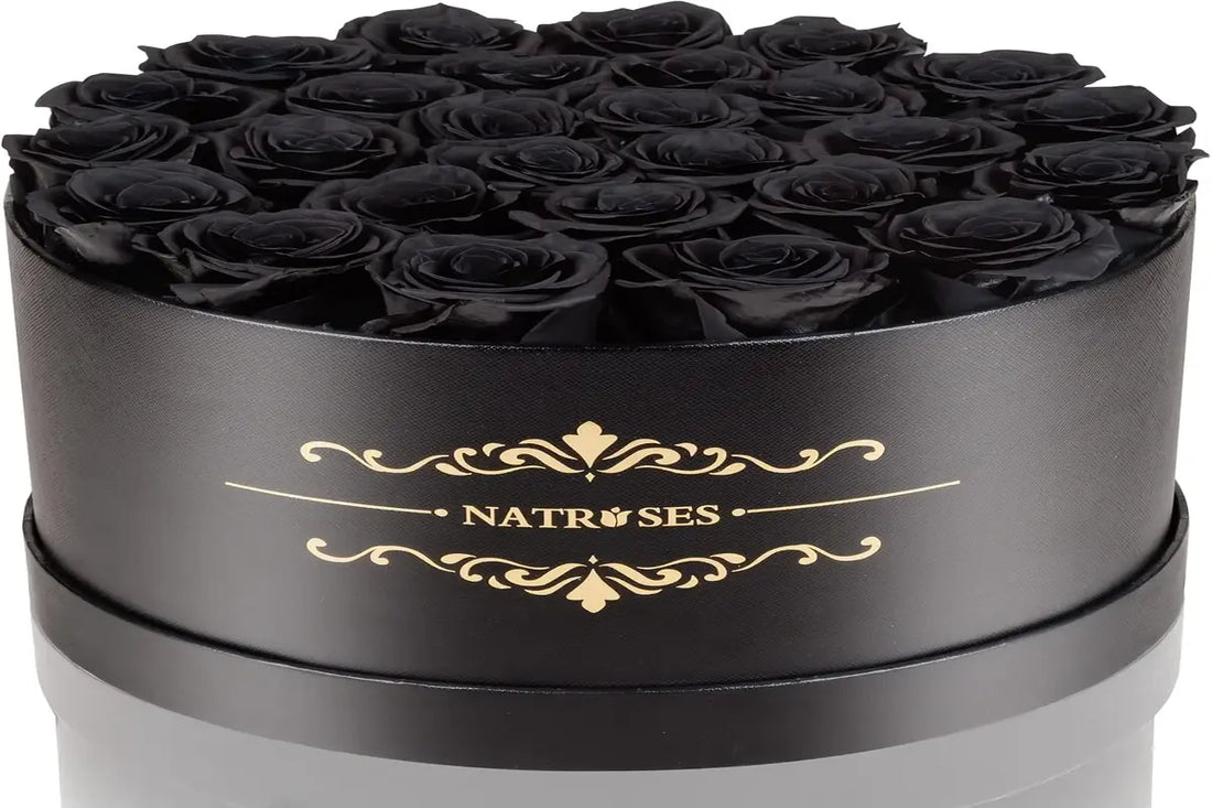 Black Rose Spiritual Meanings