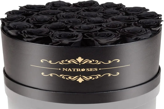 Black Rose Spiritual Meanings