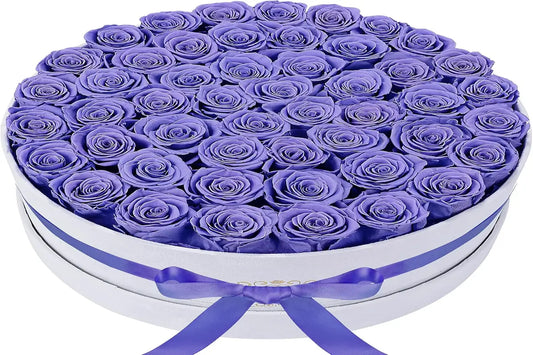 Elegant Eternal Roses 