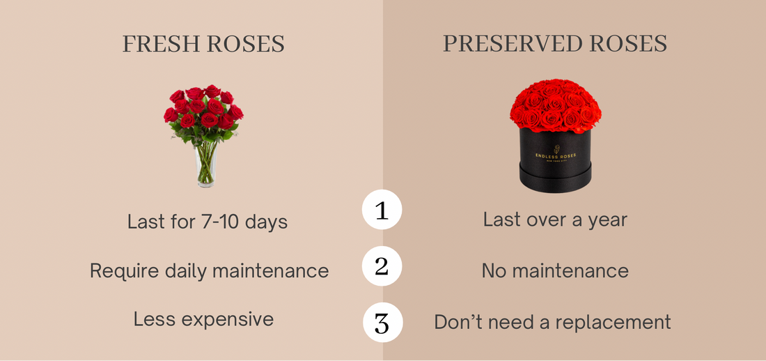 Fresh Roses VS Preserved Roses