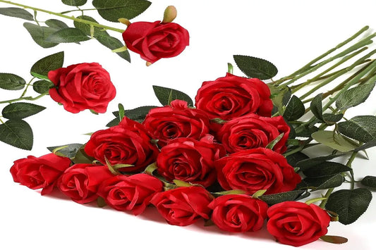 The Symbolism of Rose Colours